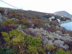 Кучук-Ламбатский каменный хаос — оползневые глыбы у мыса Плака и исар на скале
