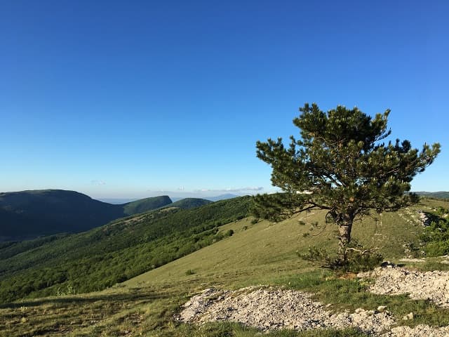Гора Лысая