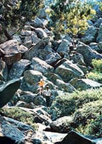Алупкинский парк: Верхний парк — хаосы, озёра и поляны