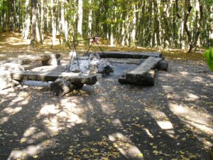 стоянка чайный домик