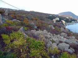 Кучук-Ламбатский хаос