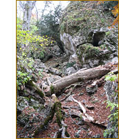 Спуск в Тисовое ущелье Спуск в Тисовое ущелье